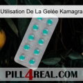 Utilisation De La Gelée Kamagra 28
